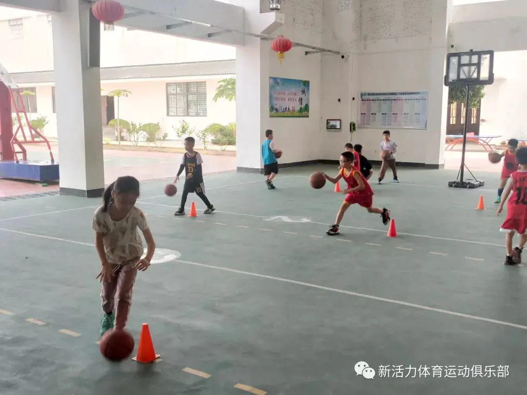 哪里有提供智能篮球训练指导的应用程序_0